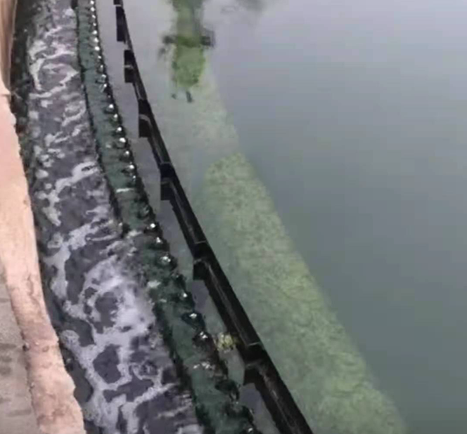 QQ圖片20230221103425 QQ圖片20230221103425