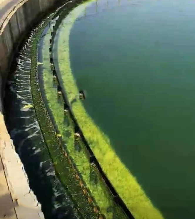 QQ圖片20230221103441 QQ圖片20230221103441